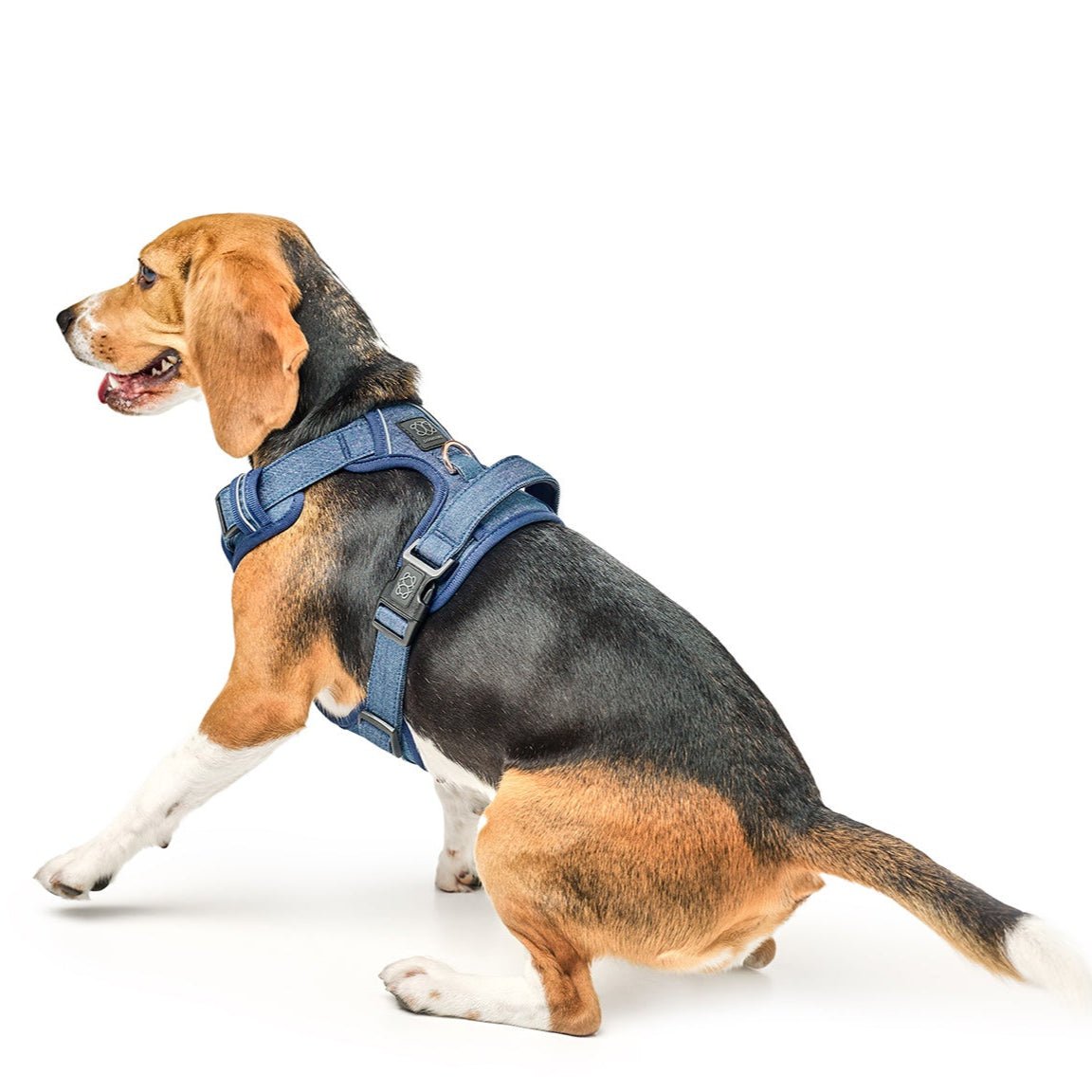 City Leash Set - Denim NoMad