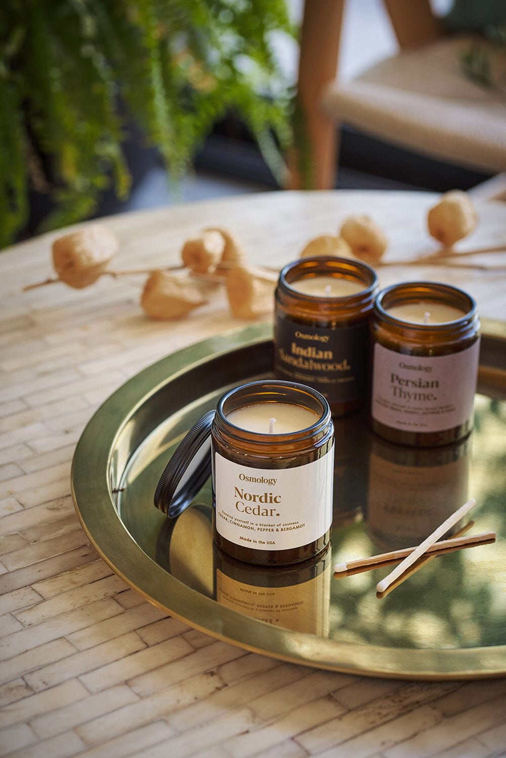 Nordic Cedar Scented Jar Candle - Cedar Cinnamon and Bergamot