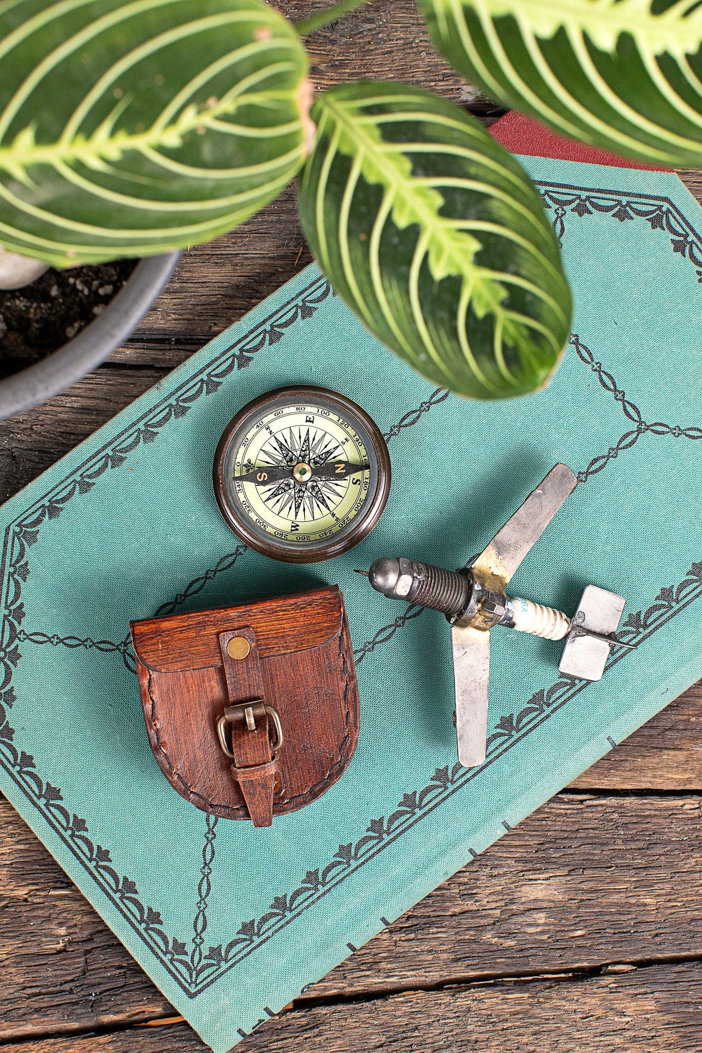 Wanderer's Compass