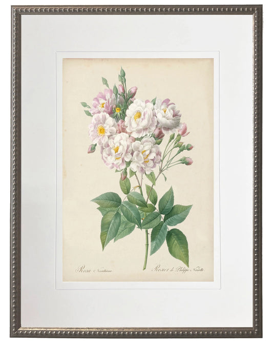 Pink Rose Print Framed Wall Art