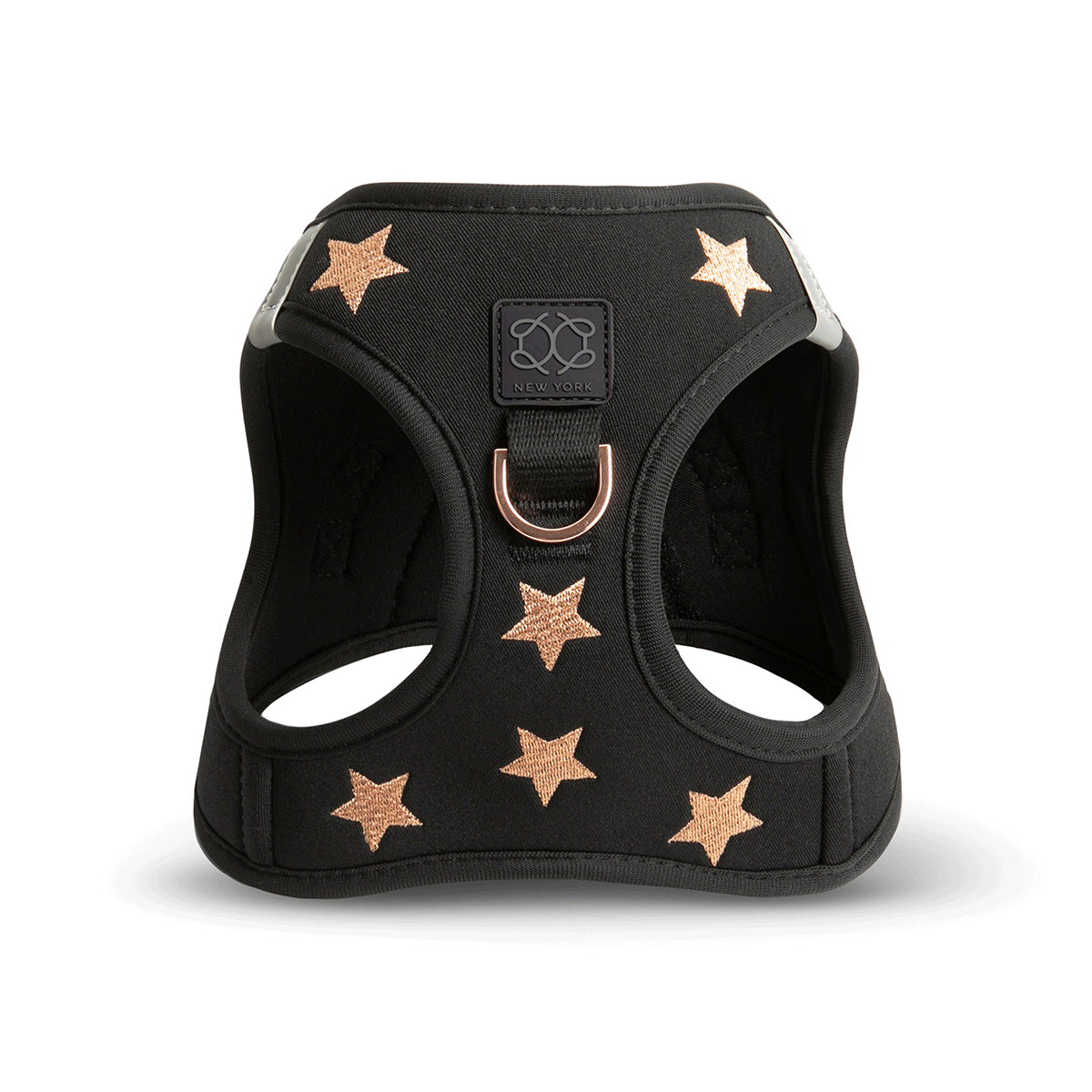 City Leash Set - Rockstar