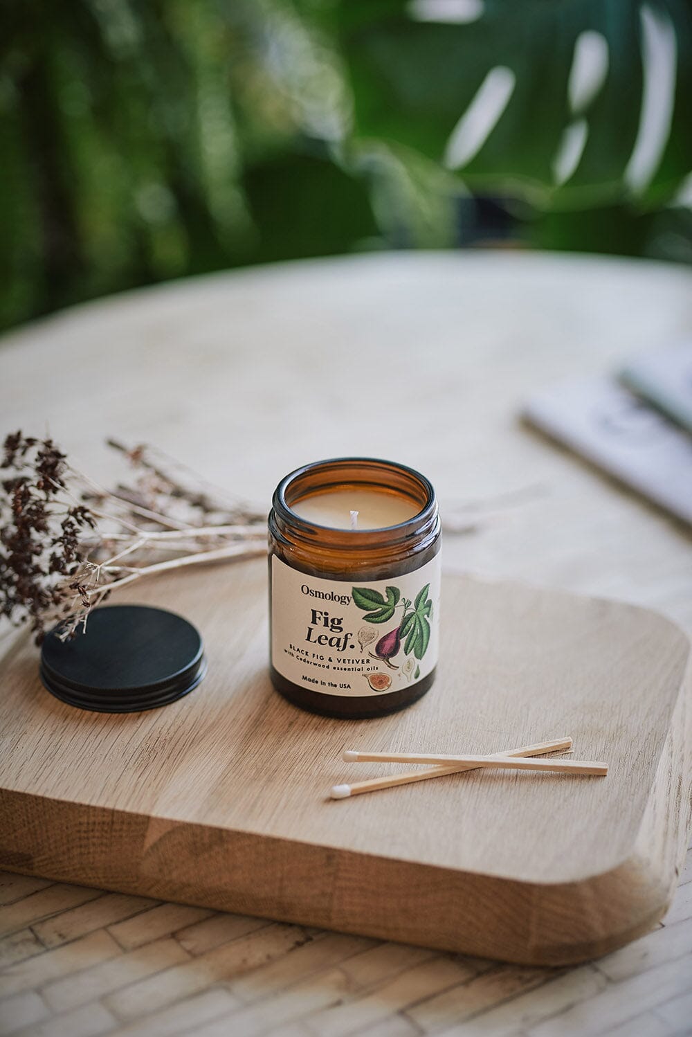 Fig Leaf Scented Jar Candle - Black Fig Vetiver and Cedarwood