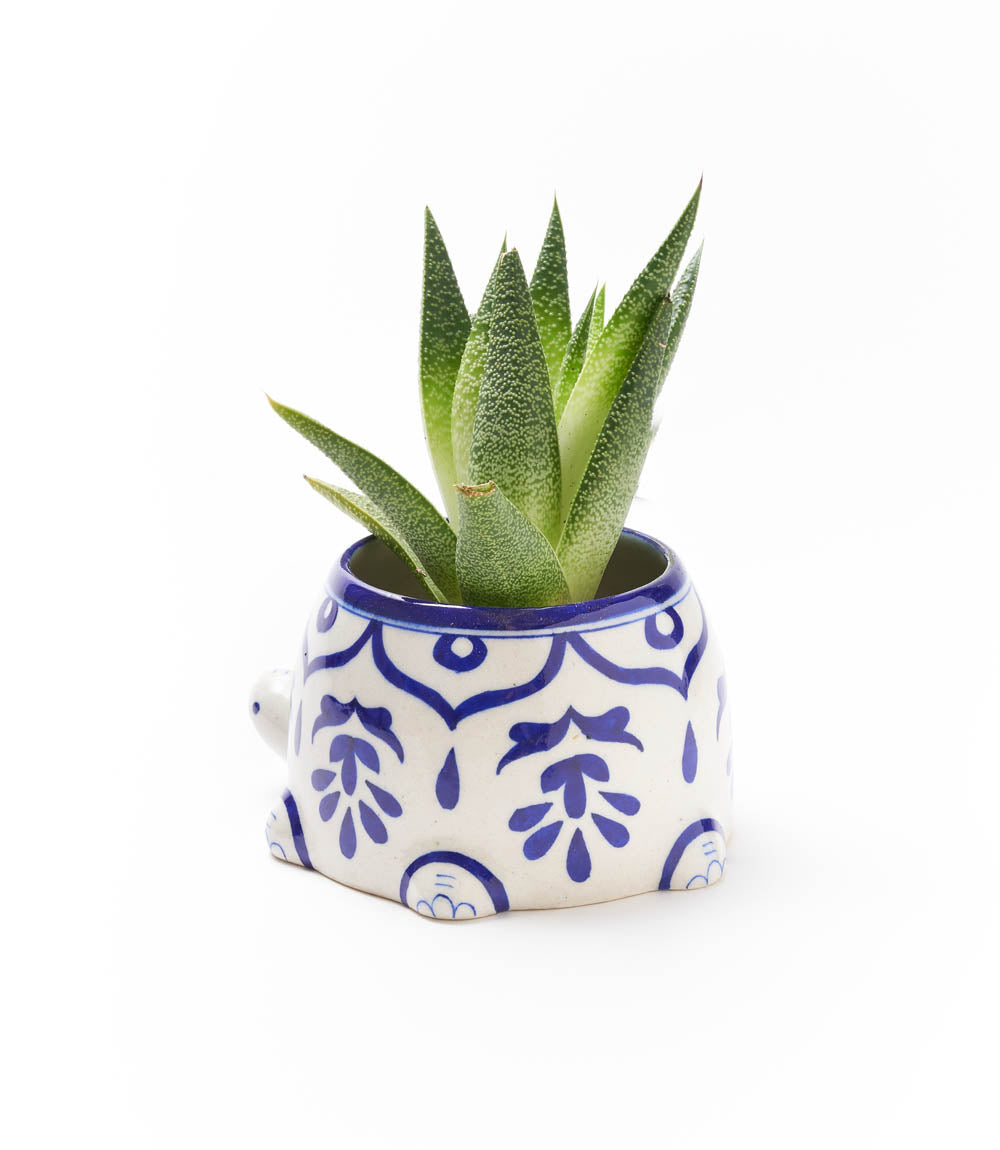 Lalita Mama Turtle Succulent Planter - Hand Painted Ceramic