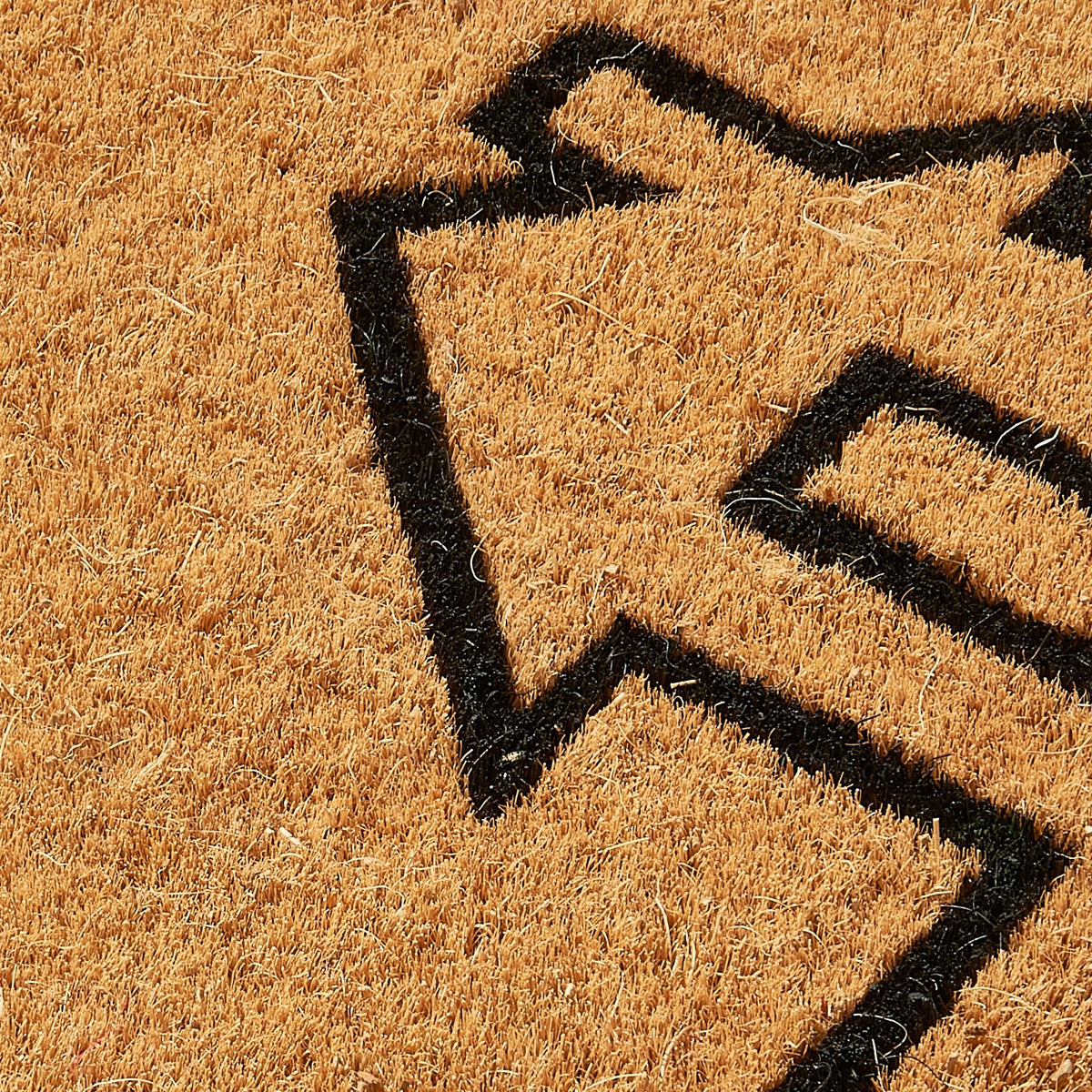 Home View - Natural Coir Doormat