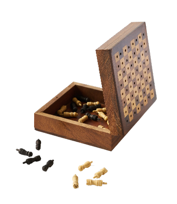 TRAVEL CHESS GAME