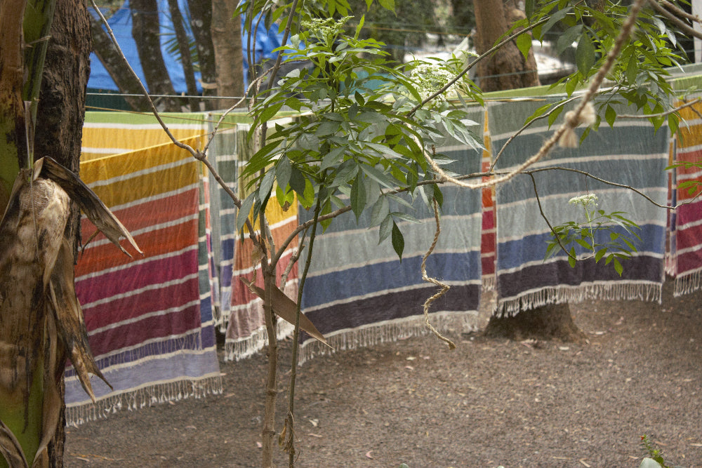 kalam towel drying in addis ababa workshop