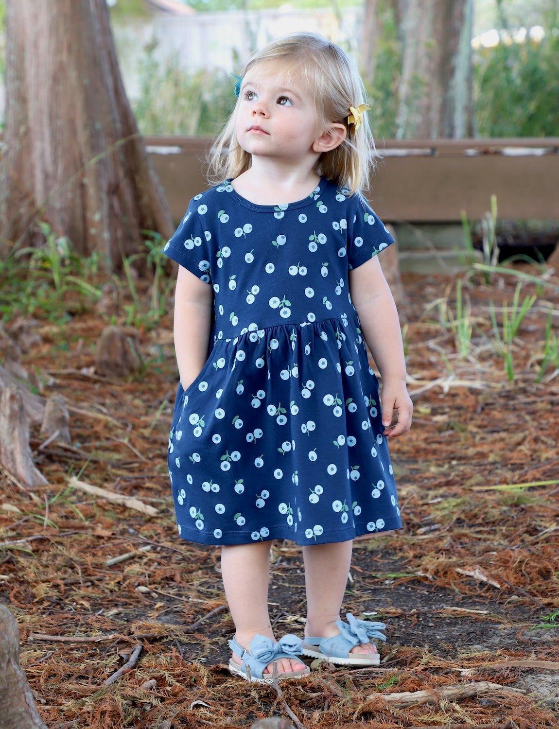 Little Blueberry Organic Twirl Dress