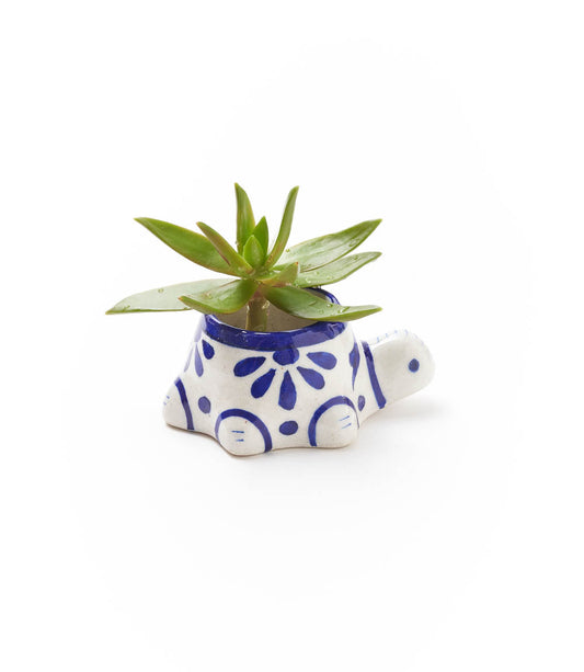 Lalita Baby Turtle Mini Succulent Planter - Hand Painted Ceramic