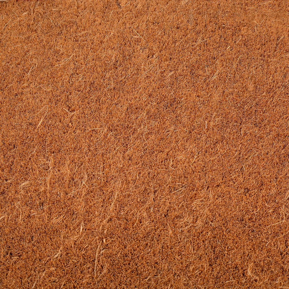 Terracotta Border Coir Doormat