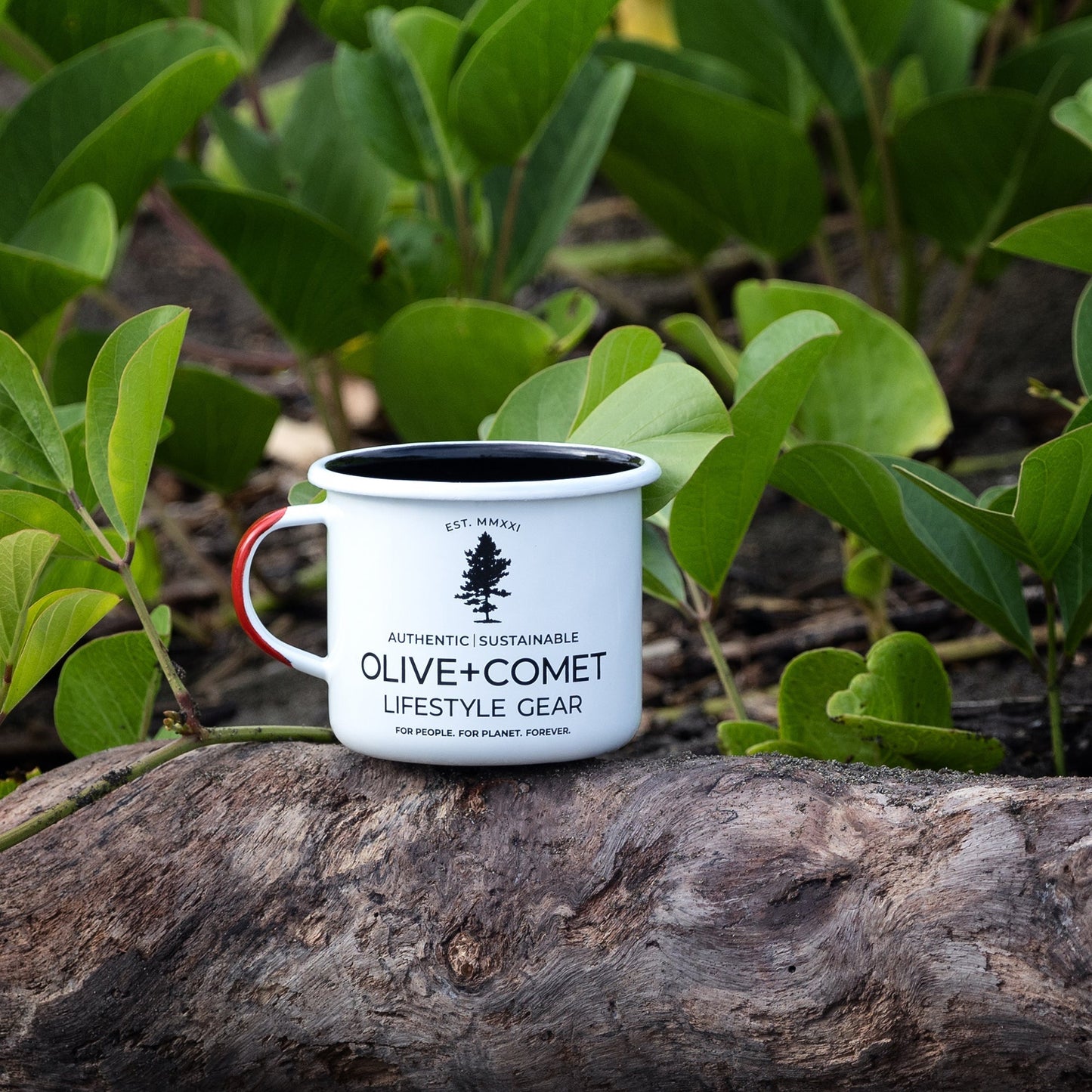 The Kambi Mug